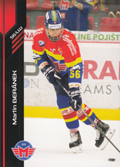 Beránek Martin 18-19 Premium Cards #8