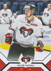 Fafrák Miloš 20-21 Tipos Extraliga #9