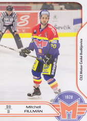 Fillman Mitchell 17-18 Premium Cards #9