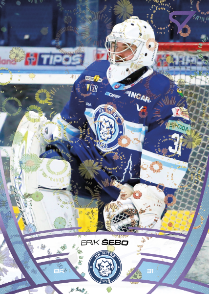 Šebo Erik 24-25 Tipos Extraliga Purple #217