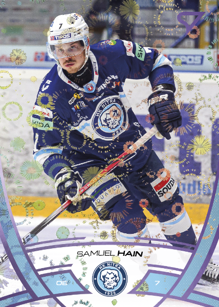 Hain Samuel 24-25 Tipos Extraliga Purple #220