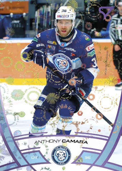 Camara Anthony 24-25 Tipos Extraliga Purple #222