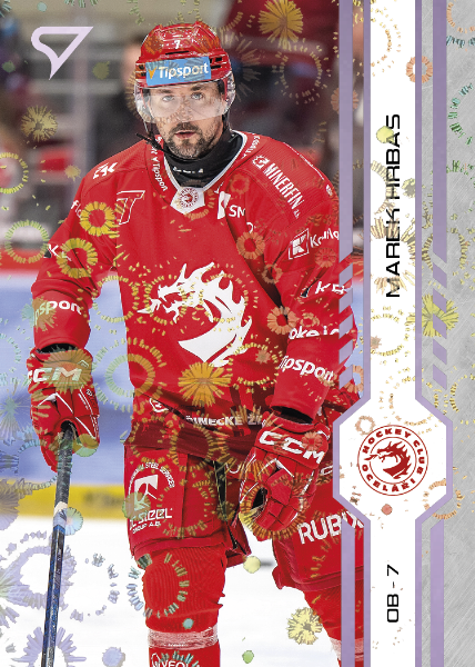 Hrbas Marek 24-25 Tipsport Extraliga Violet #253