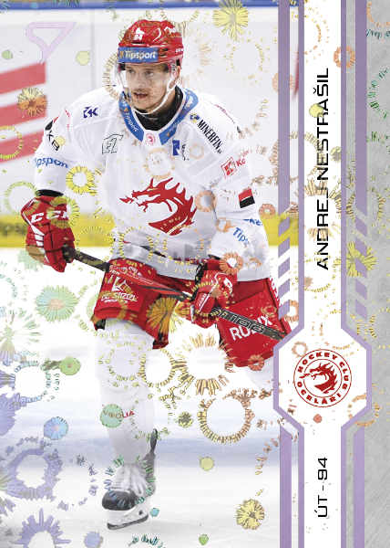 Nestrašil Andrej 24-25 Tipsport Extraliga Violet #258