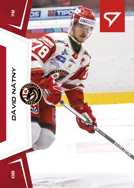 Nátny Dávid 24-25 Slovenská hokejová liga #4