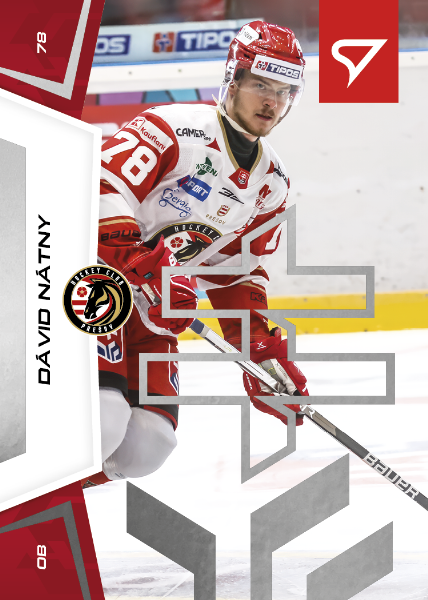 Nátny Dávid 24-25 Slovenská hokejová liga Silver #4