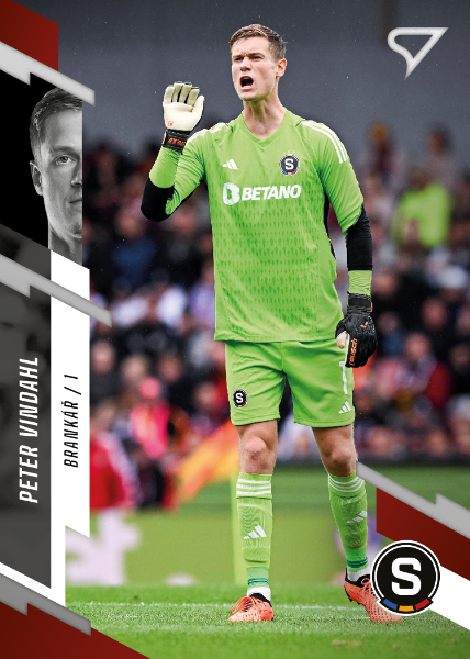 Vindahl Peter 23-24 Fortuna Liga #199