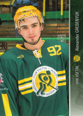 Grebenyuk Alexander 14-15 VHK Vsetín #10