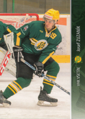 Zuzaník Josef 14-15 VHK Vsetín #12