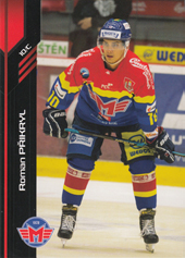 Přikryl Roman 18-19 Premium Cards #17