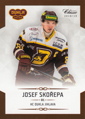 Skořepa Josef 18-19 OFS Chance liga #19