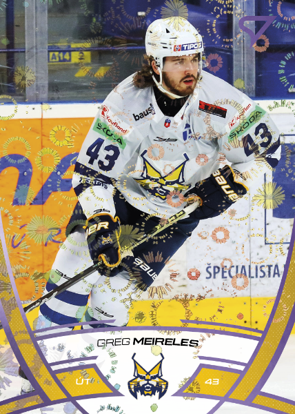 Meireles Greg 24-25 Tipos Extraliga Purple #230