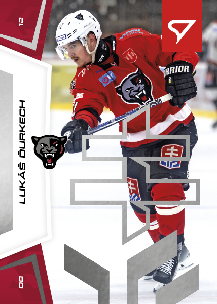 Ďurkech Lukáš 24-25 Slovenská hokejová liga Silver #14