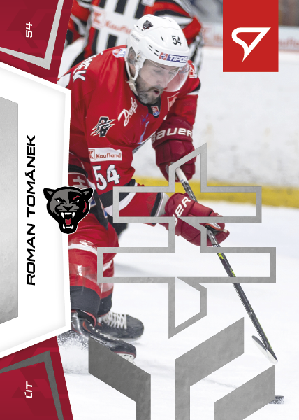 Tománek Roman 24-25 Slovenská hokejová liga Silver #22