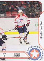 Hort Lukáš 17-18 Premium Cards #26