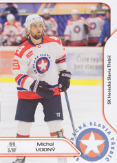 Vodný Michal 17-18 Premium Cards #29