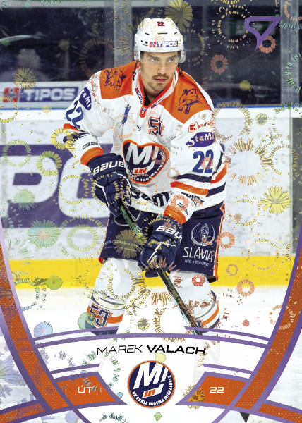 Valach Marek 24-25 Tipos Extraliga Purple #240