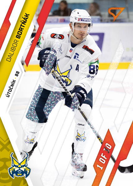 Bortňák Dalibor 23-24 Tipos Extraliga Red #47