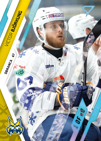 Björkung Victor 23-24 Tipos Extraliga Ice Blue #229