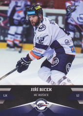 Bicek Jiří 17-18 Tipsport Liga #30