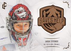 Štěpánek Jakub 2021 LC Saves Help #SH-034