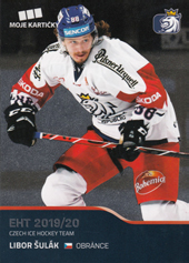 Šulák Libor 2020 MK Reprezentace #37