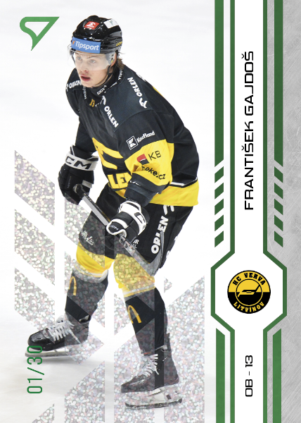 Gajdoš František 24-25 Tipsport Extraliga Green #280