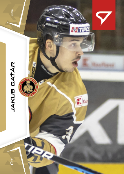 Gaťár Jakub 24-25 Slovenská hokejová liga #43