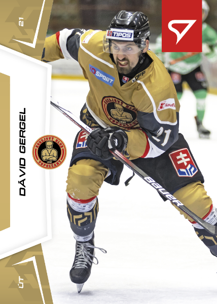 Gergel Dávid 24-25 Slovenská hokejová liga #44