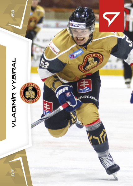 Vybiral Vladimír 24-25 Slovenská hokejová liga #48