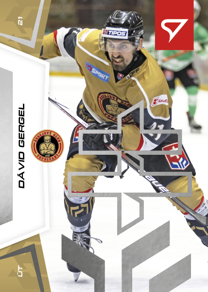 Gergel Dávid 24-25 Slovenská hokejová liga Silver #44