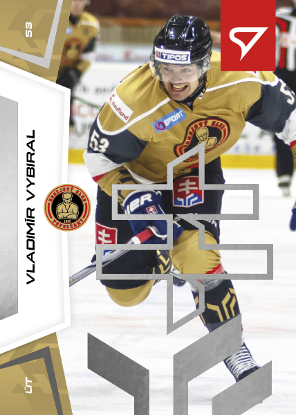 Vybiral Vladimír 24-25 Slovenská hokejová liga Silver #48
