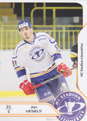 Veselý Jan 17-18 Premium Cards #45