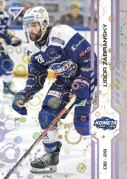 Zábranský Libor 24-25 Tipsport Extraliga Violet #289