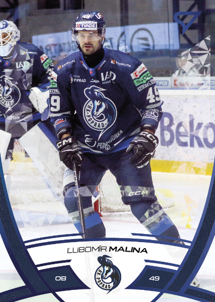 Malina Ľubomír 24-25 Tipos Extraliga Blue #252