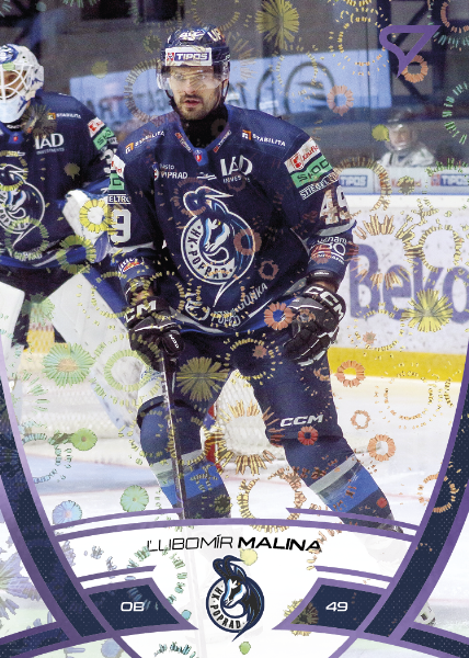 Malina Ľubomír 24-25 Tipos Extraliga Purple #252