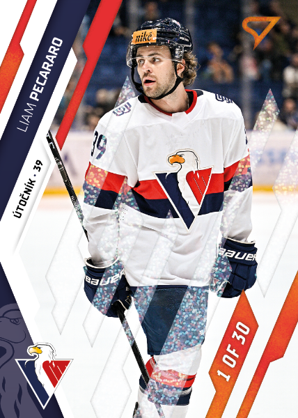 Pecararo Liam 23-24 Tipos Extraliga Red #87