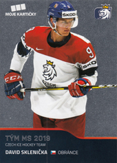 Sklenička David 2020 MK Reprezentace #51