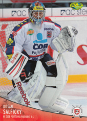 Salfický Dušan 12-13 OFS Plus #52