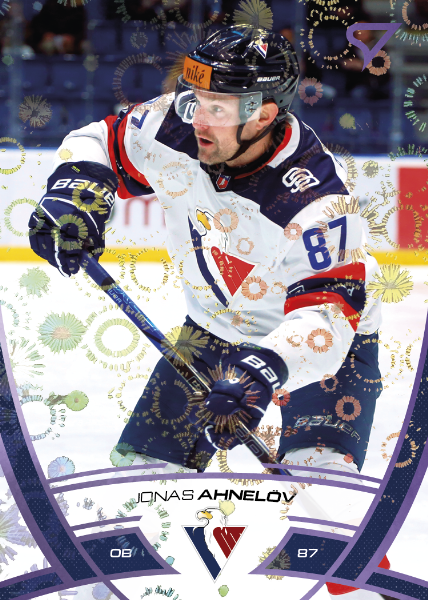 Ahnelöv Jonas 24-25 Tipos Extraliga Purple #262