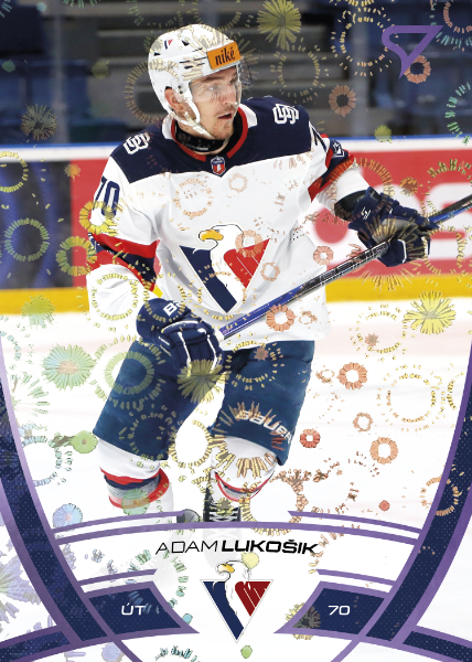 Lukošík Adam 24-25 Tipos Extraliga Purple #267