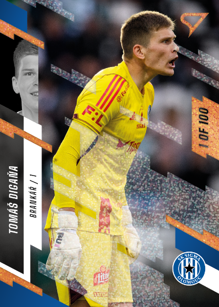 Digaňa Tomáš 23-24 Fortuna Liga Copper #261