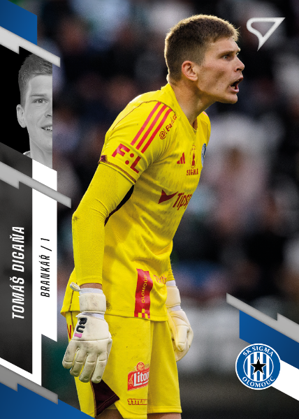 Digaňa Tomáš 23-24 Fortuna Liga #261