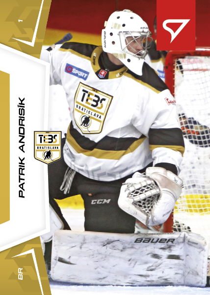 Andrisík Patrik 24-25 Slovenská hokejová liga #61