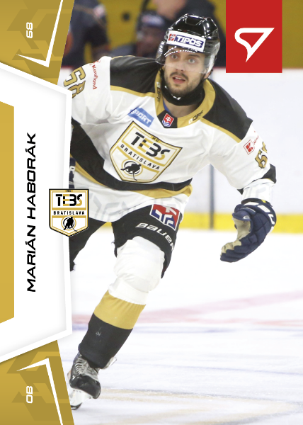 Haborák Marián 24-25 Slovenská hokejová liga #62