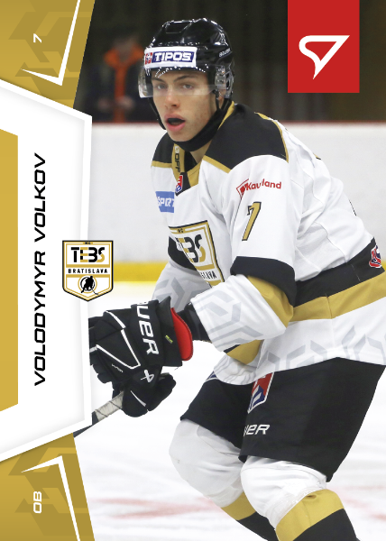 Volkov Volodymyr 24-25 Slovenská hokejová liga #66