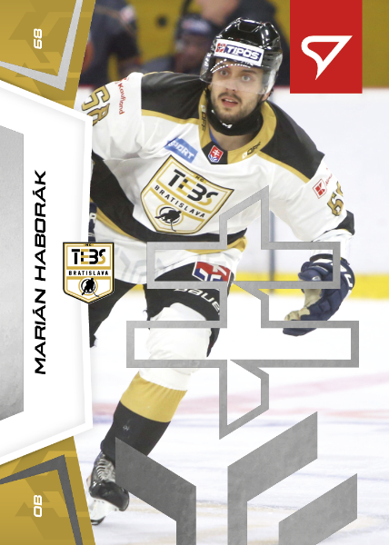 Haborák Marián 24-25 Slovenská hokejová liga Silver #62