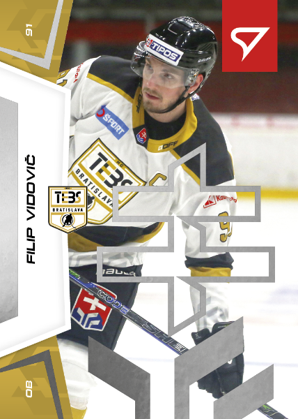 Vidovič Filip 24-25 Slovenská hokejová liga Silver #65