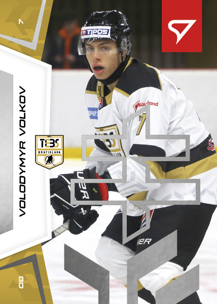 Volkov Volodymyr 24-25 Slovenská hokejová liga Silver #66
