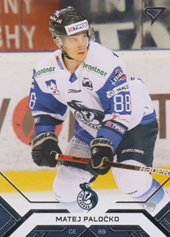 Paločko Matej 20-21 Tipos Extraliga #66